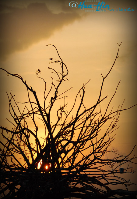 Name:  077.jpg
Views: 464
Size:  138.2 KB