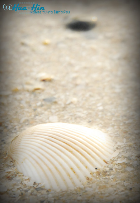 Name:  083.jpg
Views: 460
Size:  71.4 KB