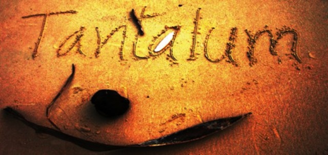 Name:  P5111675.JPG
Views: 125
Size:  76.1 KB