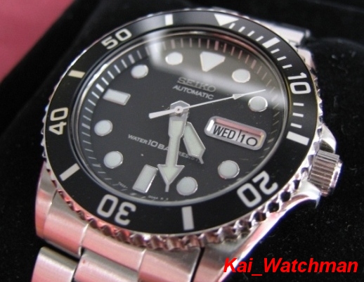 Name:  SKX03K2_1.jpg
Views: 1993
Size:  134.4 KB