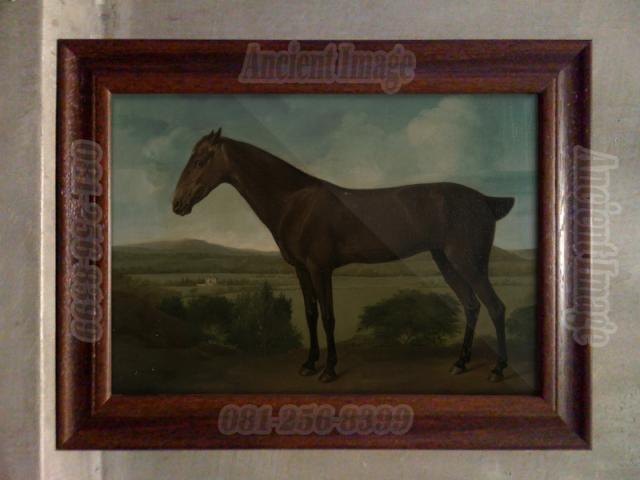 Name:  Brown_Horse_in_a_Hilly_Landscape.jpg
Views: 91
Size:  32.2 KB