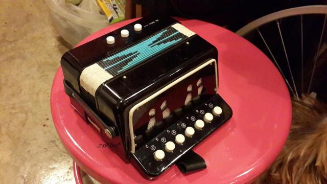 Name:  small accordian.jpg
Views: 2788
Size:  35.5 KB