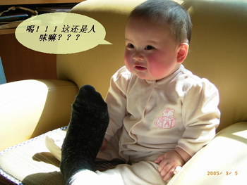 Name:  Baby-8.jpg
Views: 200
Size:  73.9 KB