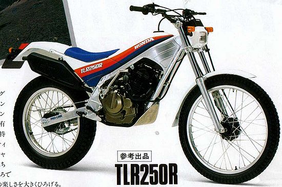 Name:  tlr 250r.jpg
Views: 10869
Size:  58.3 KB