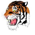 tigerantique's Avatar