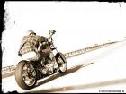 hell cat's Avatar